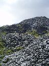 coniston 04 017 * 1536 x 2048 * (689KB)